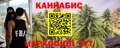 шишки Будённовск