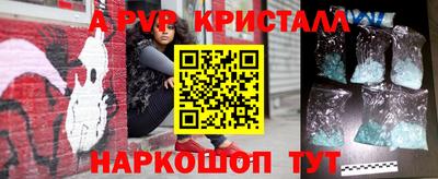 шишки Будённовск