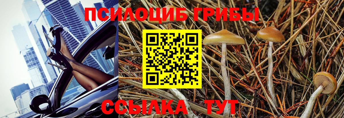 Махачкала  Галлюциногенные грибы GOLDEN TEACHER  Вход с VPN  Псилоцибиновые грибы Magic Shrooms 
