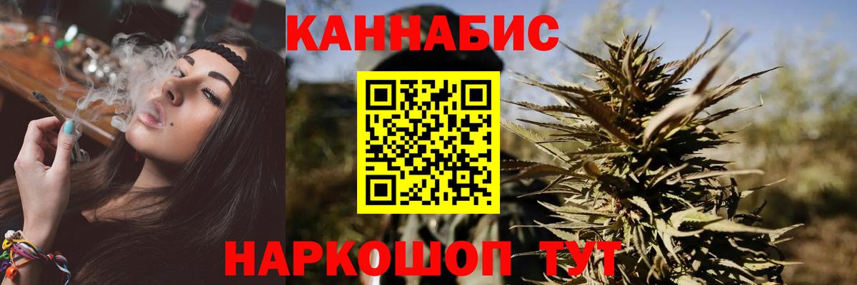 Марихуана сатива Махачкала